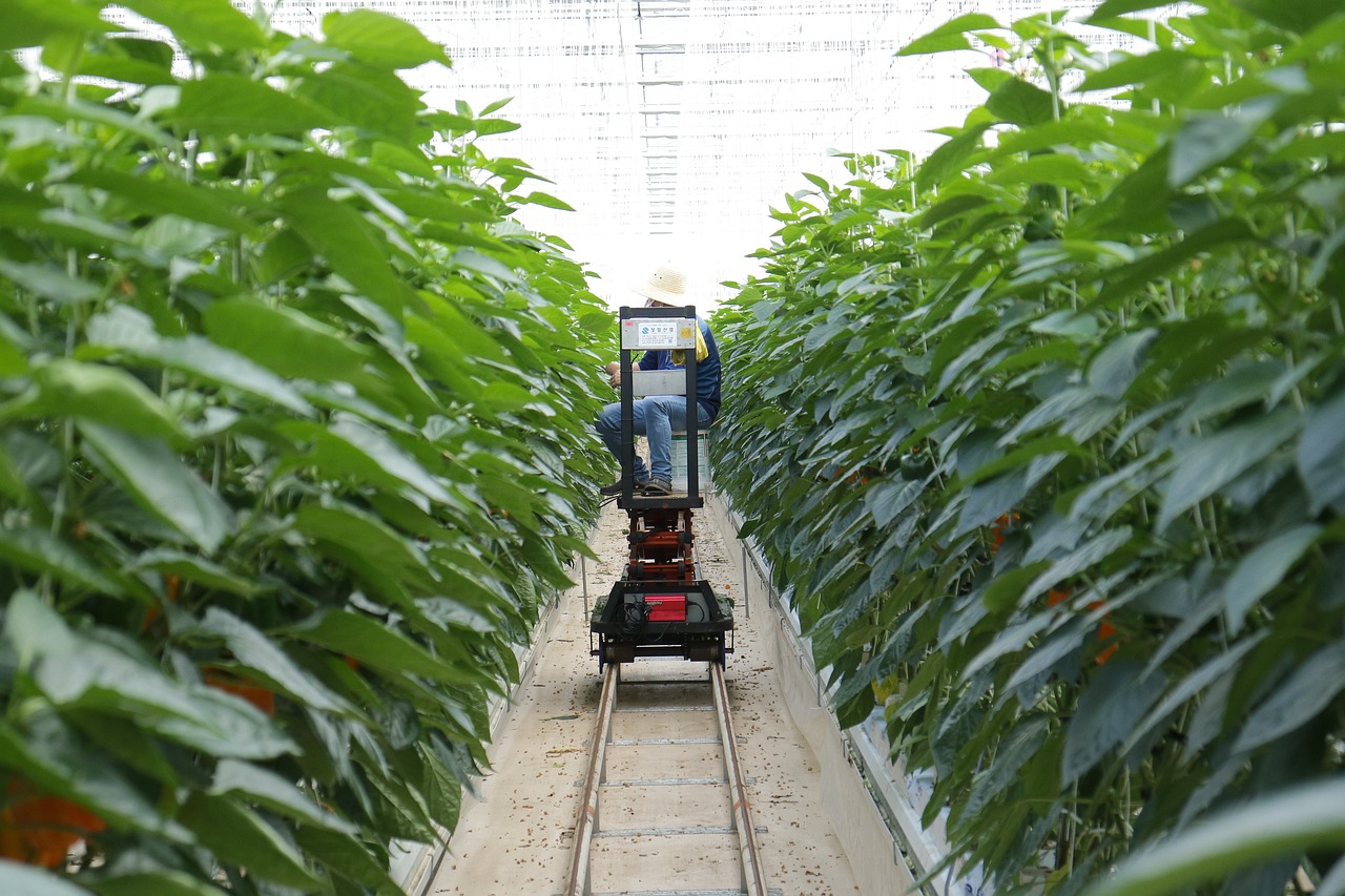 Use Water Smarter (Efficiency & Demand Management)
