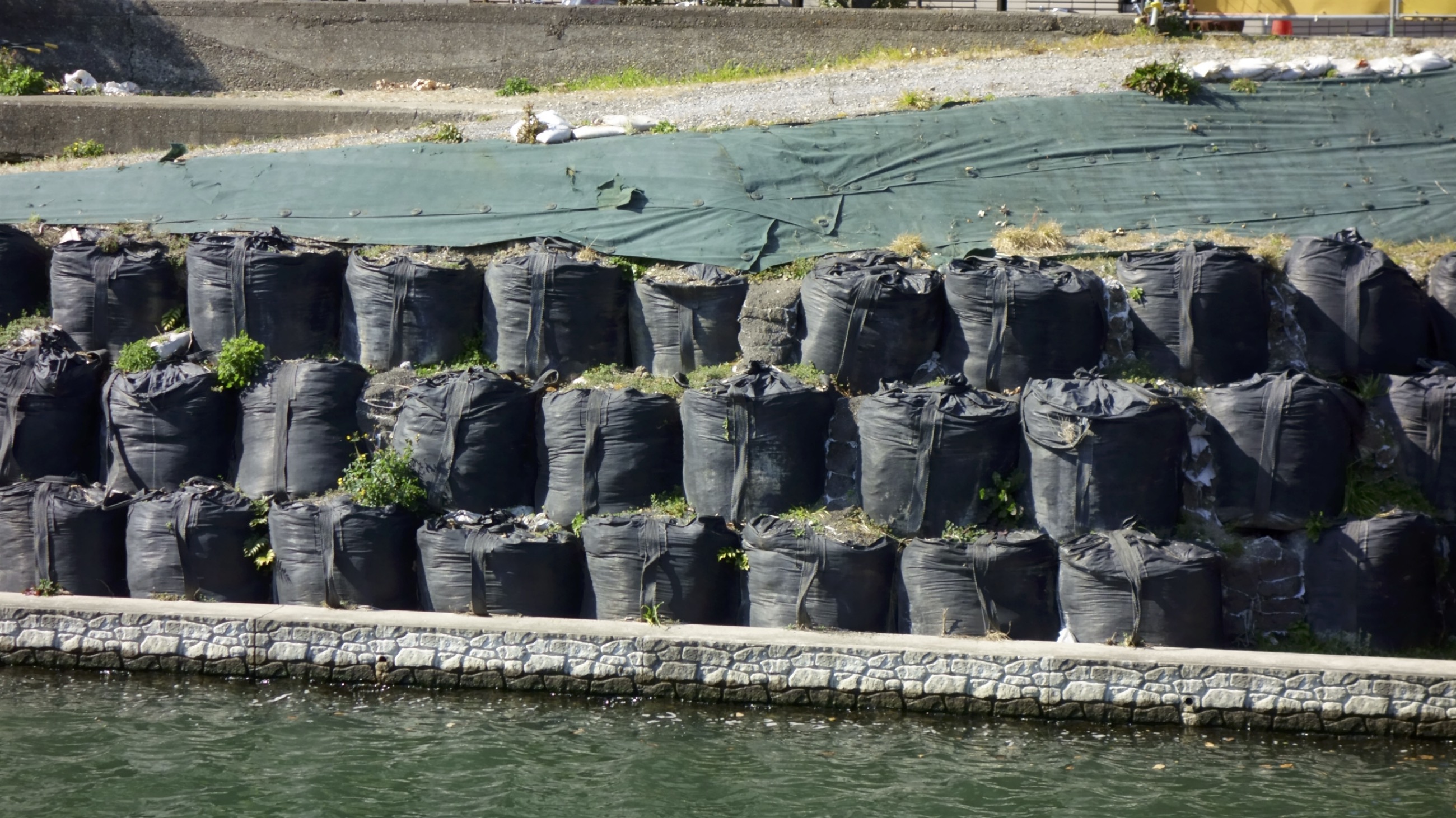 6.  Climate Adaptation & Resilience Solutions