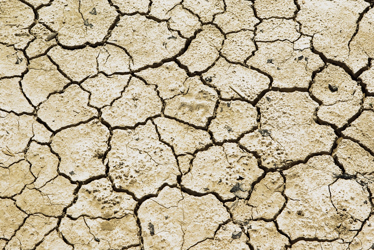 Build Climate Resilience (Droughts & Floods)