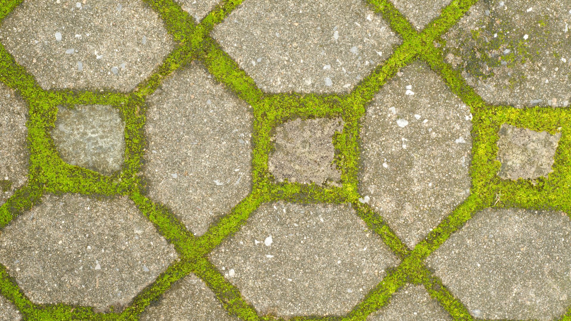 Material Circularity