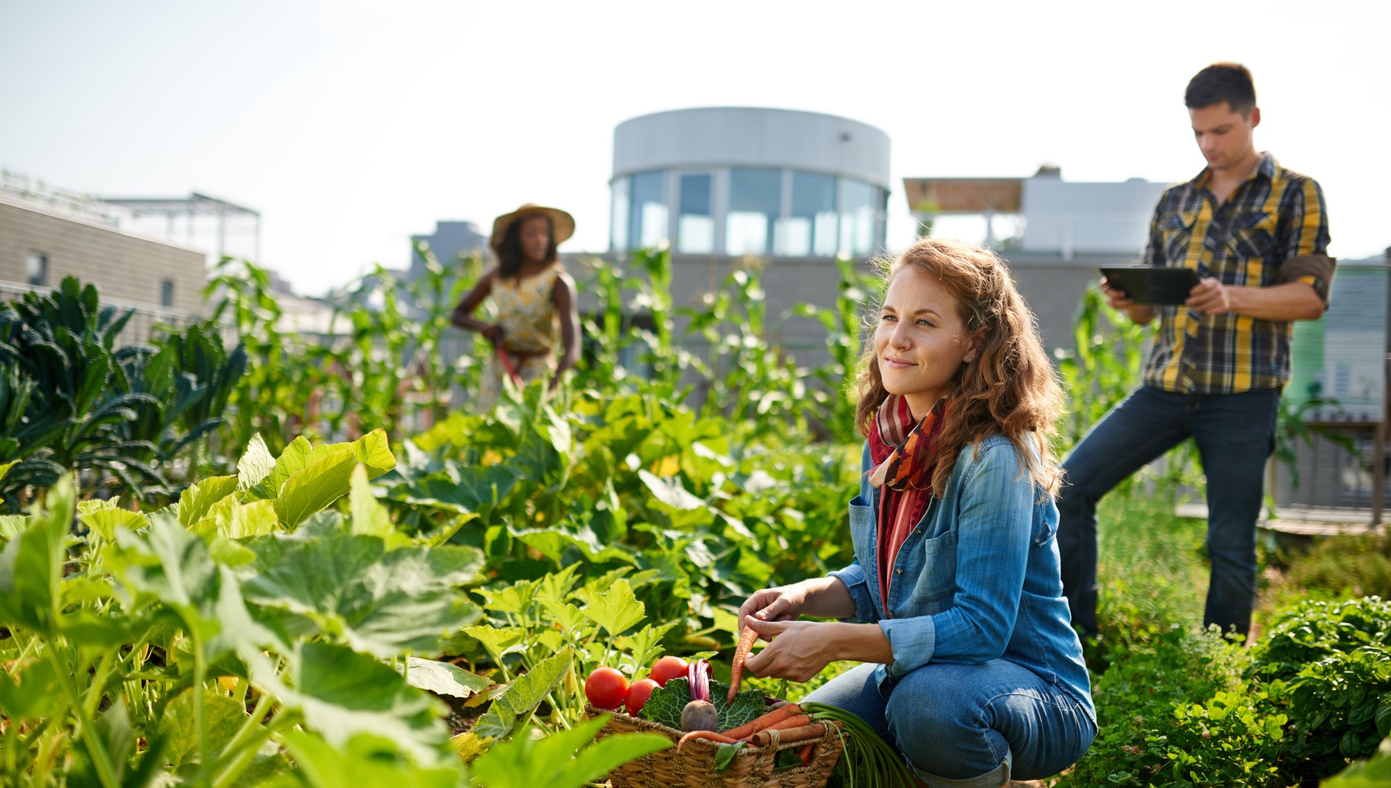 Urban Food Systems