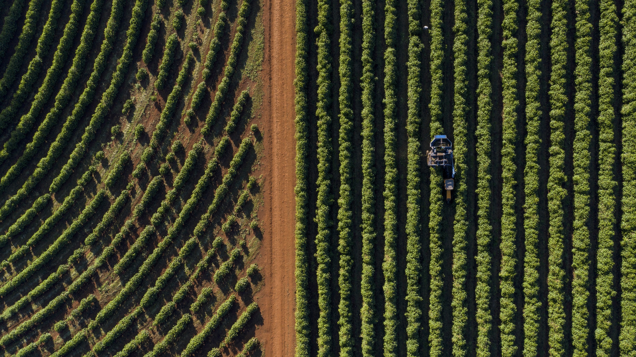 3. Regenerative Agriculture & Agri-Tech