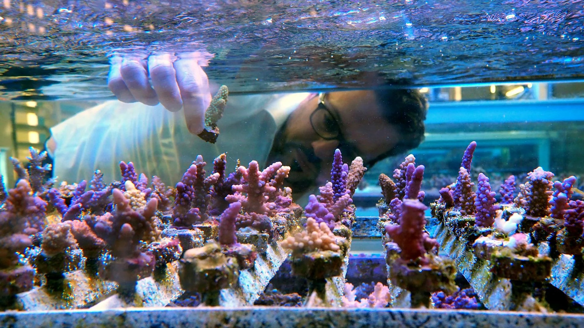 Solution Image