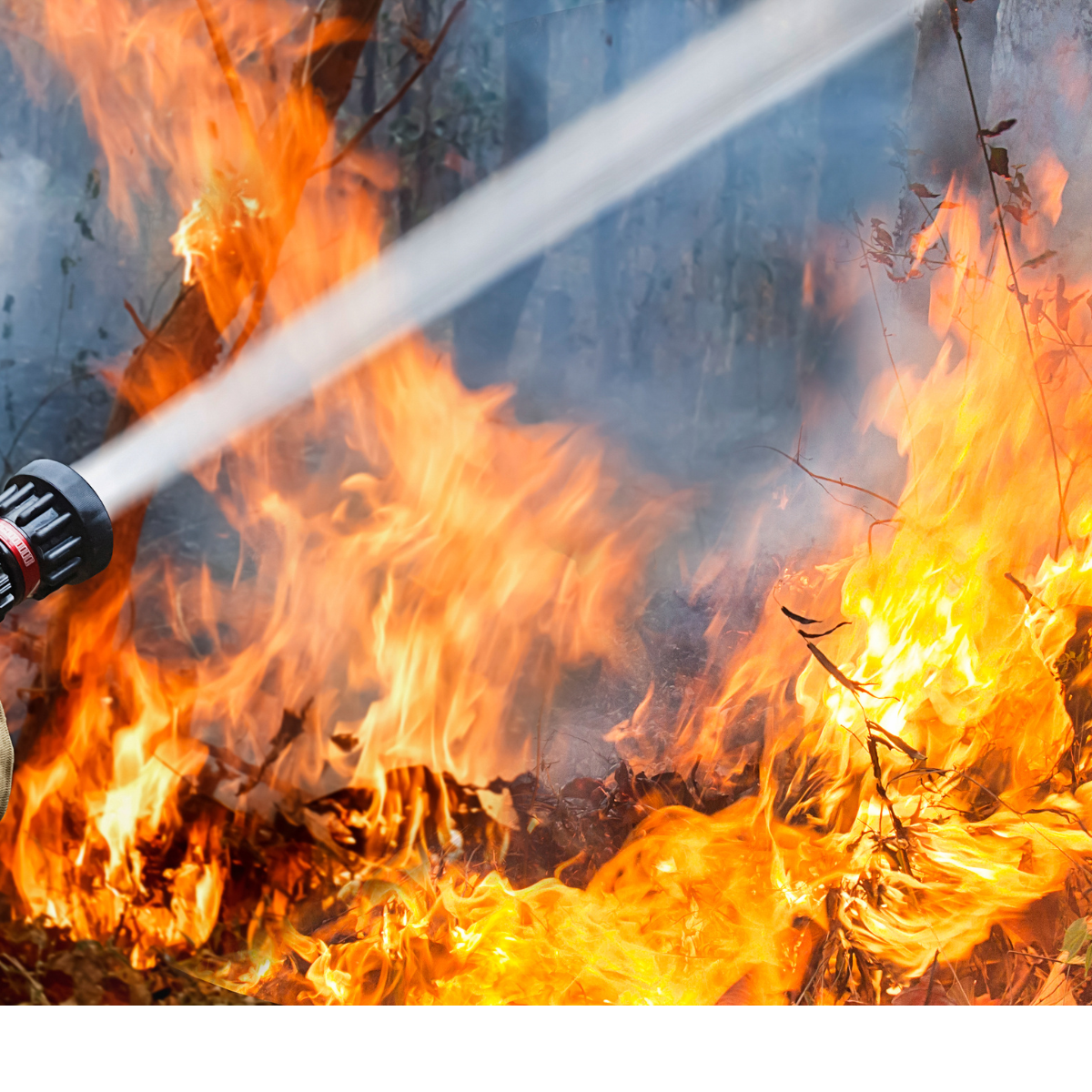 The role of AWGs in disaster relief